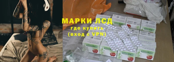 прущие грибы Нефтекумск