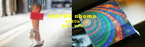 прущие грибы Нефтекумск