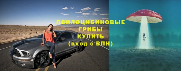 прущие грибы Нефтекумск