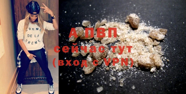 СК Новозыбков