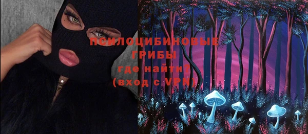 первитин Нея