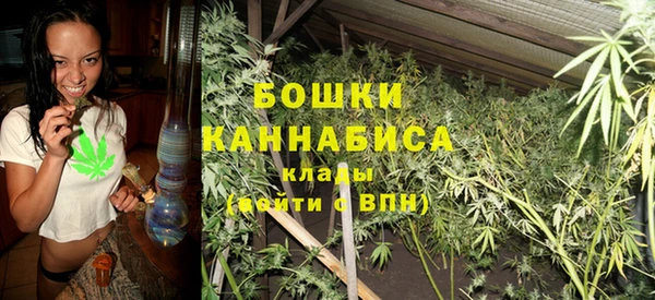 СК Новозыбков