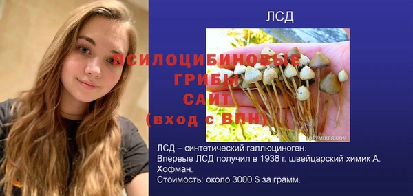 первитин Нея