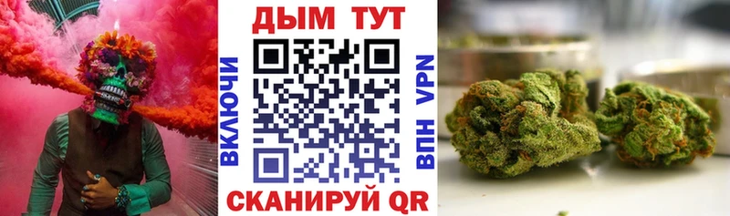 Купить  Нижнеудинск  Бошки Шишки OG Kush 